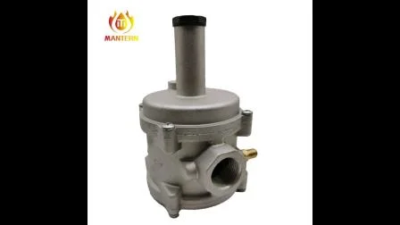 Regulador de filtro de gas natural (MTGFR01)